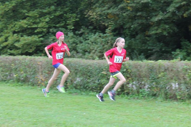 crosscountry2016_bezirkperg 36